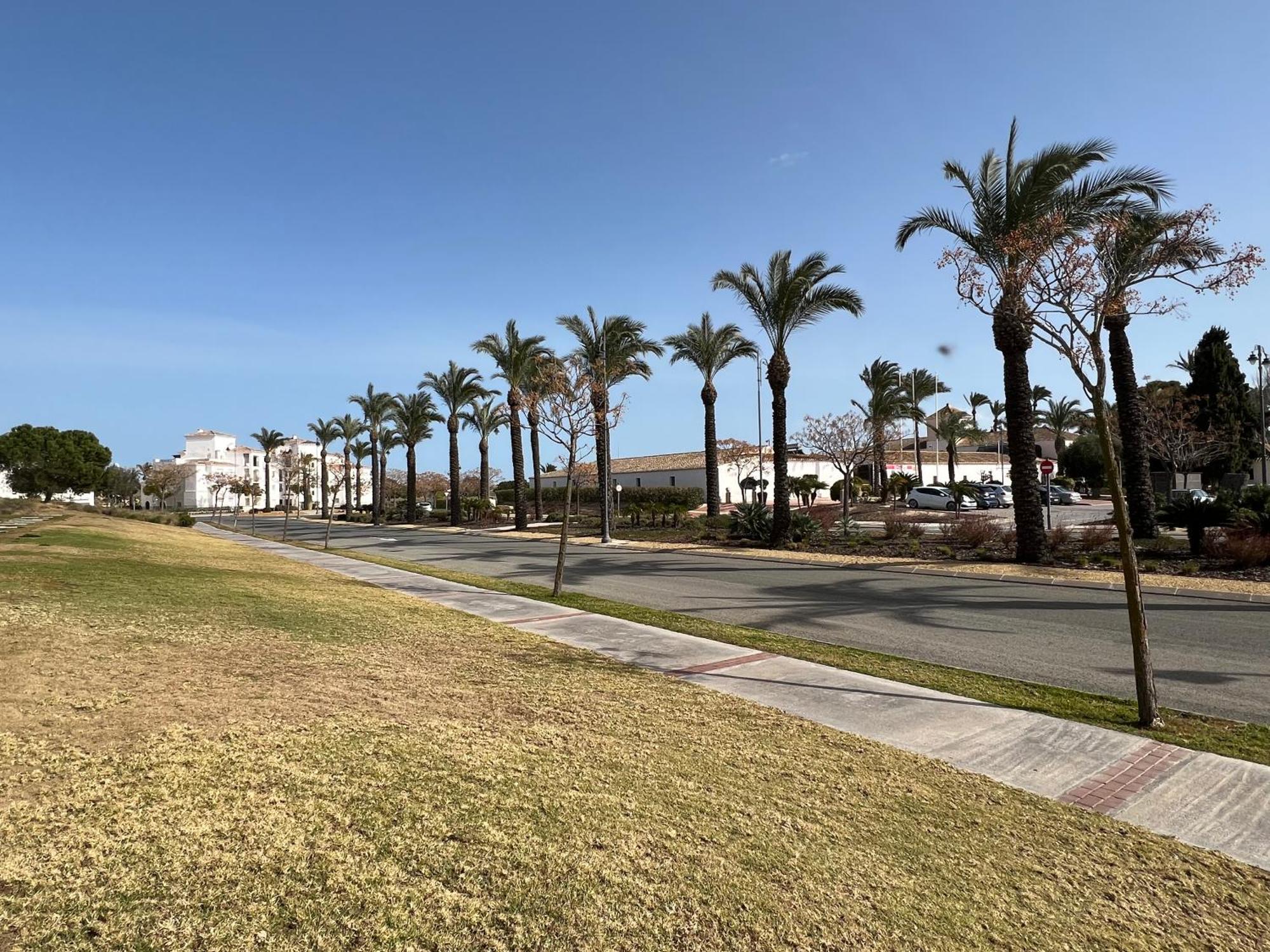 Apartment In Hacienda Riquelme Golf Resort Sucina Dış mekan fotoğraf